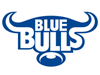 Blue Bulls (VC)